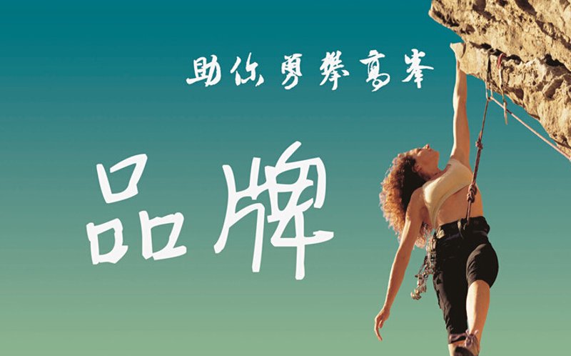 品牌全案:打造企业形象的全方位指南